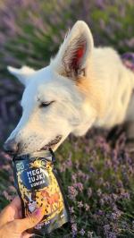 Rodzinna firma z Opola, Która odmienia psie nawyki żywieniowe