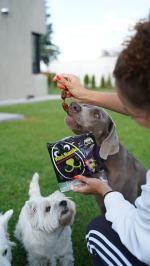 Rodzinna firma z Opola, Która odmienia psie nawyki żywieniowe