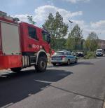 Stracił panowanie i wjechał na pas zieleni