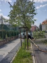 Stracił panowanie i wjechał na pas zieleni