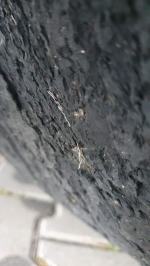 Inspektorzy WITD Opole zatrzymali pojazd z niebezpiecznymi usterkami