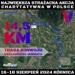 Dwukilometrowy sznur wozów strażackich na sygnale. Jechali dla Amelki