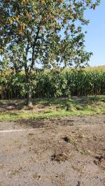 Śmiertelny wypadek na DK46: Droga zablokowana