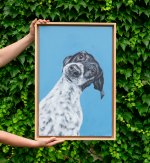 Aukcja charytatywna w GSW w Opolu - weź udział dzisiaj