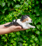 Aukcja charytatywna w GSW w Opolu - weź udział dzisiaj