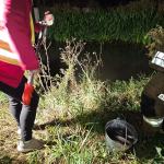 Śnięte ryby na rzece Cielnica: trwają badania przyczyn zjawiska