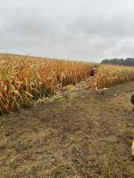 Wypadek na DW454: kierowca potrącił pracownika koszącego trawę