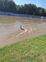 Raport z powiatu Kędzierzyńsko-Kozielskiego