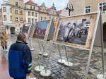 "Ostatni mecz na Oleskiej" - otwarta wystawa dostępna już na Opolskim Rynku