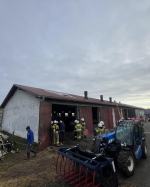 Pożar w chlewni w Radoszowach - większość zwierząt uratowana