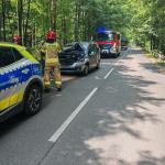 Konar runął na auto na trasie Pokój - Krzywa Góra