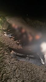 Kurierzy z migrantami zatrzymywani codziennie. Wśród kurierów obywatele Ukrainy i Łotwy