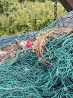 Śmieci bez kontroli. Ciężarówka z odpadami zatrzymana przez ITD w Opolu