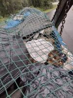 Śmieci bez kontroli. Ciężarówka z odpadami zatrzymana przez ITD w Opolu