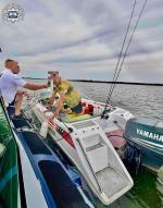  Dwóch zatrzymanych nietrzeźwych sterników- odpowiedzą za przestępstwo