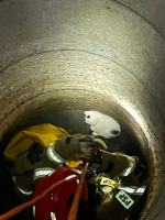 Kotek wpadł do studni w Kotlarni. Na szczęście przyszła pomoc 