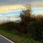 Pijany kierowca zakończył jazdę w polu kukurydzy. Nie miał uprawnień do prowadzenia