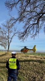 Oślepiony przez słońce uderzył w drzewo