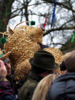 Wodzenie Bera w Muzeum Wsi Opolskiej. Tradycyjny mięsopust przyciągnął uczestników