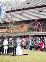 Wodzenie Bera w Muzeum Wsi Opolskiej. Tradycyjny mięsopust przyciągnął uczestników