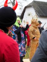 Wodzenie Bera w Muzeum Wsi Opolskiej. Tradycyjny mięsopust przyciągnął uczestników