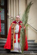 Niedziela Palmowa - symbolika i znaczenie w tradycji Kościoła