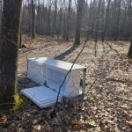 Las to nie składowisko AGD. Lodówka porzucona przy drodze