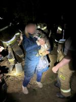 Kilkugodzinna akcja strażaków. Zwierzę utknęło pod ziemią