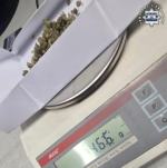 Majówkę spędzili za kratami - powodem były narkotyki