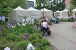 Trwa Strassenfest w Opolu. Plac Wolności wypełniły muzyka i rodzinne atrakcje