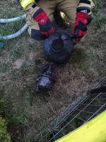 Pożar altany na terenie ogródków działkowych. Wcześniej doszło do eksplozji urządzenia