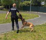 Red i Drago wspierają policjantów i edukują mieszkańców