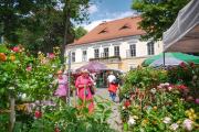 Barwna scenografia i wieczór koncertów w Otmuchowie. Trwa \"Lato Kwiatów\". - 20250705101235_fb_img_1751699267983_6.jpg