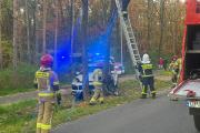 Wypadek w Masowie. Samochód uderzył w drzewo, kobieta i dziecko trafili do szpitala