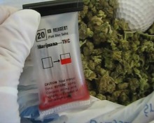 Międzynarodowa współpraca ma sens