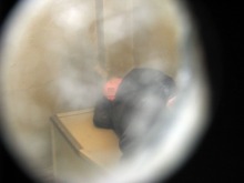 Ukradł telefon komórkowy