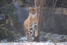 Znowu można zwiedzić zoo nocą