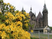 Święto Kwitnących Azalii w Mosznej