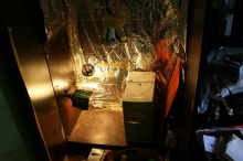 34-latek uprawiał w szafie konopie, był poszukiwany