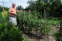 Opolanie kochają swoje ogródki działkowe