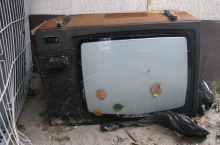 Wpuścił do rzeki kilkaset śniętych ryb