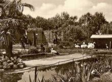 Od małego zwierzyńca do wielkiego ogrodu