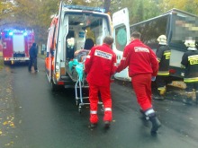 Autobus uderzył w drzewo, 6 osób trafiło do szpitala