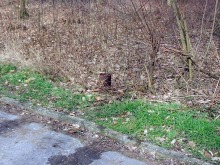 Zuchwali złomiarze kradli przydrożne latarnie