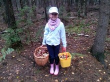 Grzybów w lasach nie brakuje. Zobacz kolejne zdjęcia czytelników.