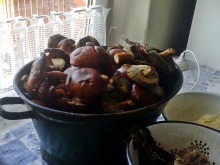 Grzybów w lasach nie brakuje. Zobacz kolejne zdjęcia czytelników.