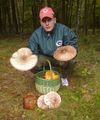 Grzybów w lasach nie brakuje. Zobacz kolejne zdjęcia czytelników.