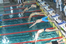 Weź udział w rodzinnych zawodach pływackich