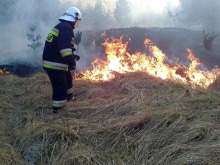 Rośnie liczba pożarów wywołanych wypalaniem traw