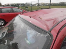 Drzewo przygniotło samochód. Nie ma komu wypłacić odszkodowania.